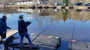 Светлые Горы Форель2 04.04.2026г.