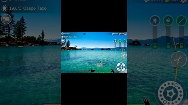 Как ловить Американского сомика в My Fishing World