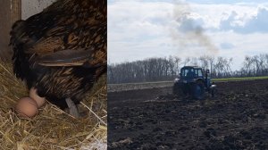 04-04-2026 Первые полевые работы,закультивировал муж огород