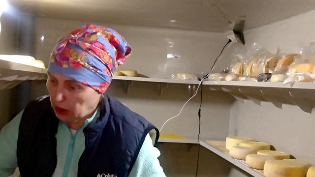 ДОИМ КОРМИМ НИЧЕГО НОВОГО!