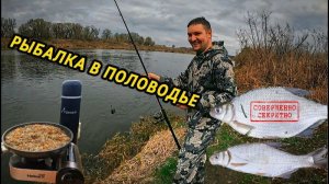 Ловим рыбу на реке Дону. Карась, густера, лещ, кто?