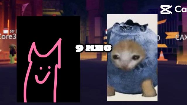 Цыгане  или не цыгане 😱🫪