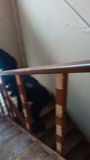 кто-то насорил в заброшенном доме