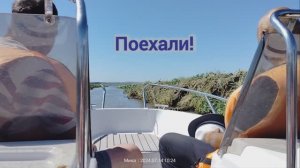 Индийские лотосы в России.  Где можно увидеть целую долину лотосов?!