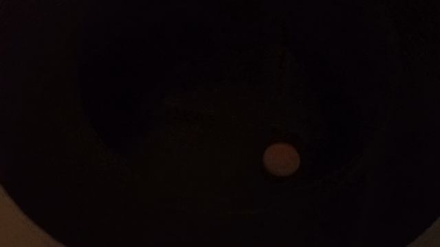 Белка увелка фокусник 😹🧙♂🔮