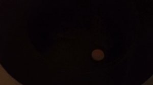 Белка увелка фокусник 😹🧙♂🔮