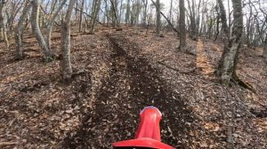 Терновка 15.032026