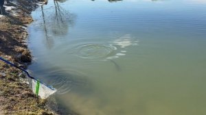 Бодрое утро в Рыбин Гуде