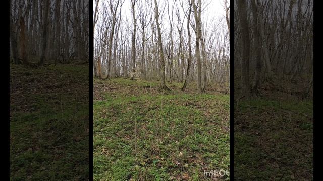 Монастырь Феодосия Кавказского 
4.04.26