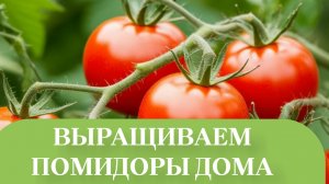 ИФЕКТ УДОБРЕНИЯ ПОЛОЖИТЕЛЬНЫЙ