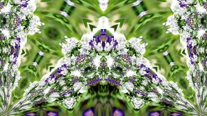 Видеофоны! Видеофон Подснежники 9! Футаж от Киностудии Мудрого Кота Тимофея!