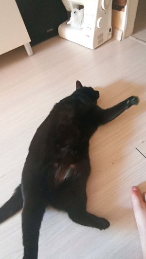 ЖËСТКОЕ хождение на РАБОЧИЕ гаражи