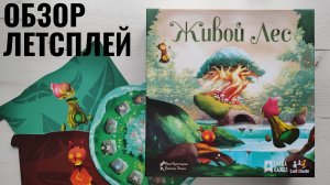 Живой лес 🦊 настольная игра: обзор и летсплей