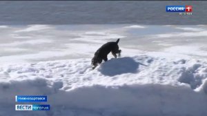 Live: "Местное время. Суббота" 20:50  04.04.2026г.