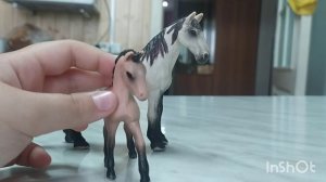 обзор на всех моих лошадей ШЛЯЙХ🥰🥰🥰🥰