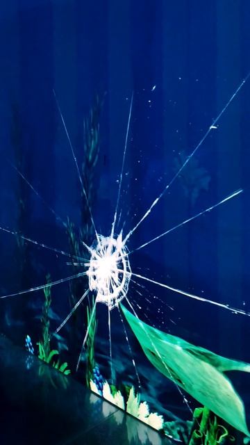 Водный мир кроличьей норы #Краснодар #2026 #ПаркГалицкого #ПаркКраснодар