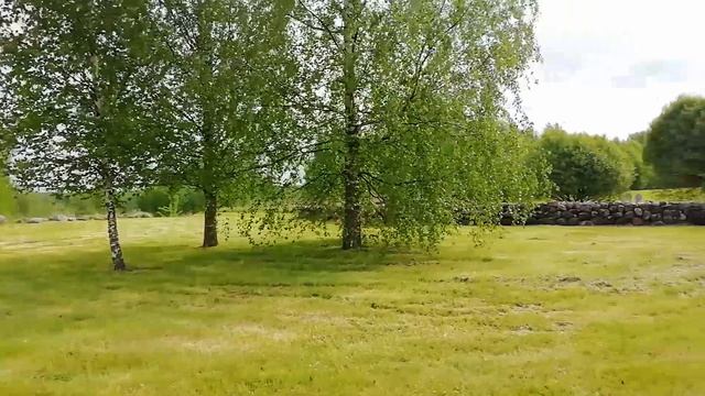 Нашли место гибели деда в ВОВ. Ставим памятник