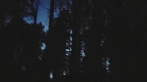 Ночные лыжи или голос из леса: День геолога 04.04.2026. Некоторые воспоминания. Бюрократия, традиции