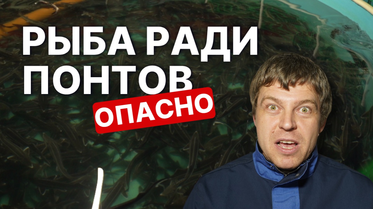 НИКОГДА не разводите этих рыб! Ошибки, которые стоят миллионов