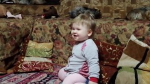 Первые шаги