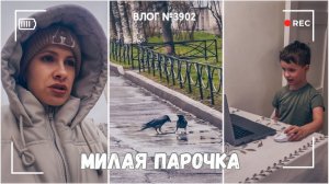 Милая парочка | Выписала Артемия | Что я делаю по ночам - ВЛОГ №3902 - 03.04.26
