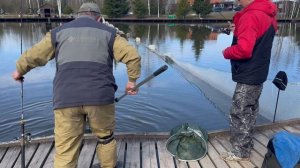 Теперь банан )