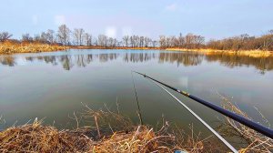 ХЕРОБУНА. Выехал на разведку по карасю.