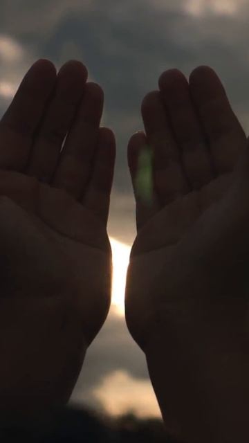 Единственная вещь в этом мире