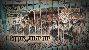 Зоопарк #Земля_Прайда Парк львов Часть "9"