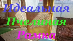 Лучший размер рамки для содержания пчёл