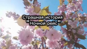СТРАШНАЯ ИСТОРИЯ | НОЧНОЙ РЕЙС | НА НОЧЬ