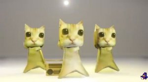 ВИДЕО ДЛЯ ДЕТЕЙ. КОТ ПОЁТ ЧИПИ ЧИПИ ЧАПА ЧАПА. ПЕСНИ ДЛЯ ДЕТЕЙ.