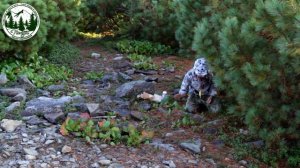 2021 09 03-05 Амурские столбы