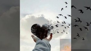 4.04.2026 г.- ЛАЗАРЕВА СУББОТА.mp4