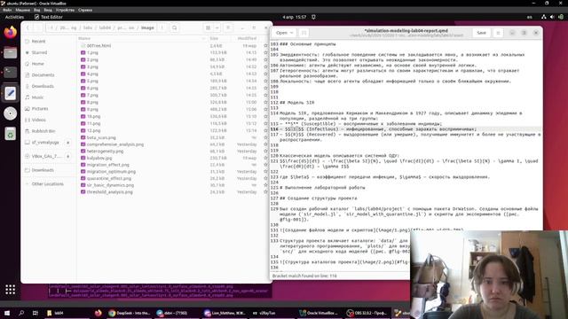 имитмод_лаб4. подготовка отчета