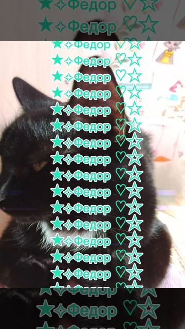1000029080.mp4