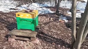 гуляют🐝🤗