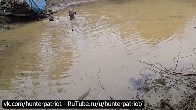 Хайлендский мальчик Кхай осушает пруд и ловит белого амура и толстолобика на продажу! Экстремальная!