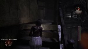 Fatal Frame 2: Crimson Butterfly | Роковой кадр 2: Багровая бабочка | #12- Финальное прохождение