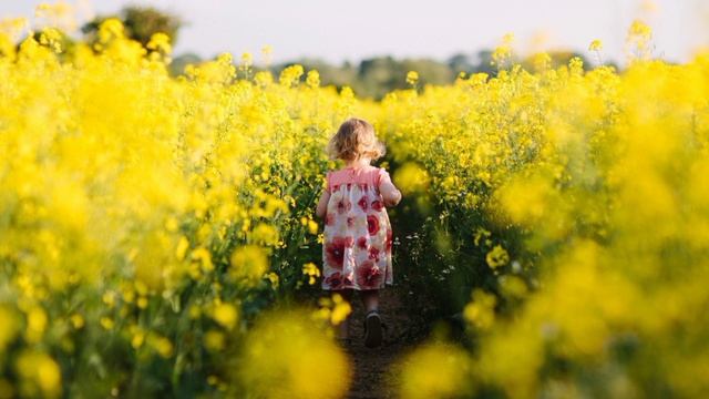 Дети и родители. Часть 9. Здесь вы узнаете как помочь своему ребёнку и себе
