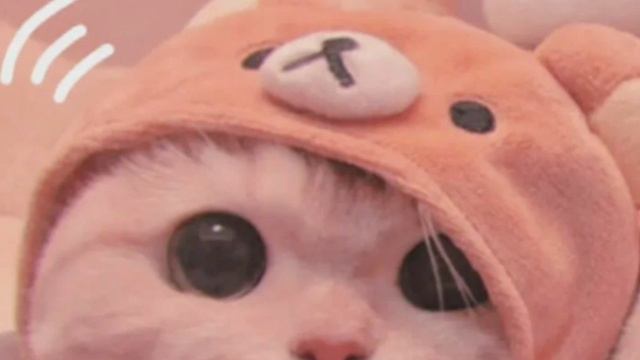 плейлист полматери список в конце!!!!!!