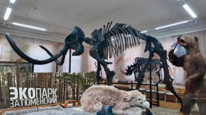 Один день весенних каникул в городе с пользой для ума и тела.