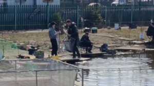 VID_20260404_142143_792