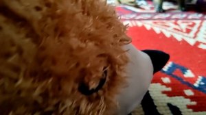 Если игрушки ходили в школу