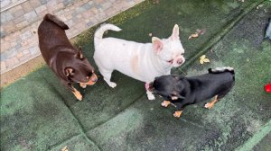 Сегодня малыши совсем гулять не хотят.