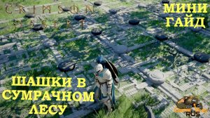 CRIMSON DESERT 🎮 PS5 Pro ШАШКИ В СУМРАЧНОМ ЛЕСУ. Решение головоломки.