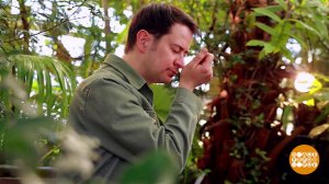 Аромат новых впечатлений. Доброе утро. Суббота. Фрагмент выпуска от 04.04.2026