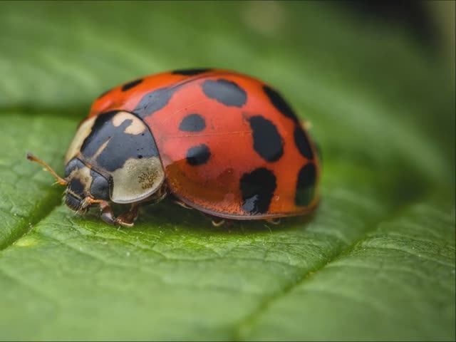 Виталий Парыгин - Апрель