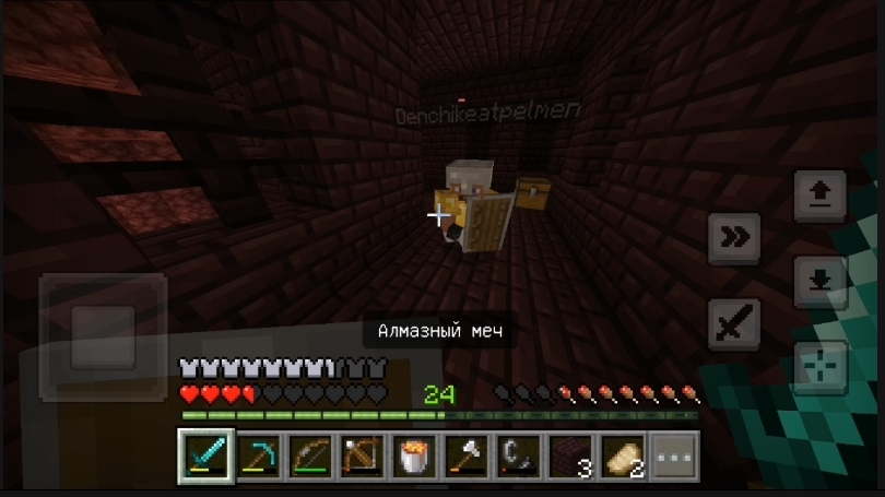 Minecraft | Survival with Friden