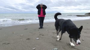 Трейлер:Адлер зимой 2026 ч.17💥Почему ТЯЖЕЛО отдыхать с собакой / Быт / Новые открытия на прогулках